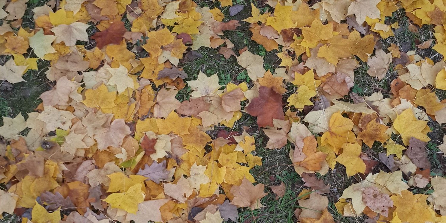 KubraY's profile banner image