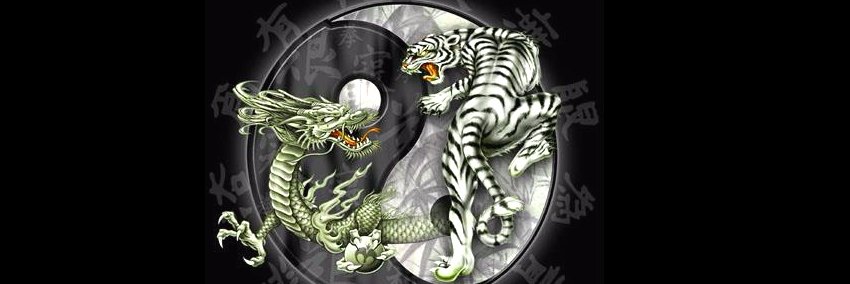 yohan_njoo's profile banner image
