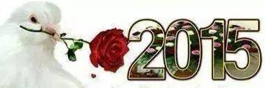 Adil Turk banner