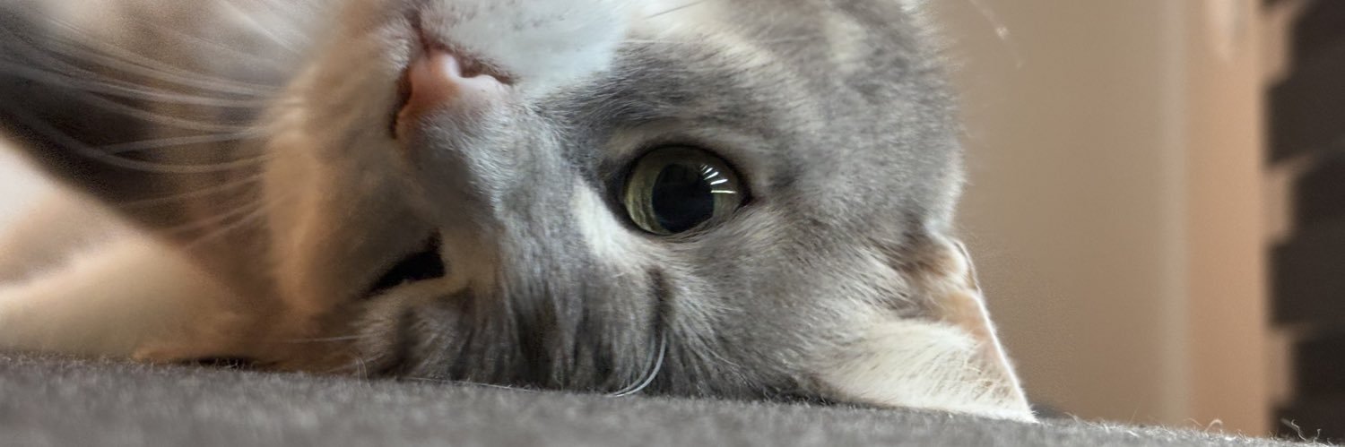 emreciigdem's profile banner image
