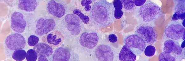 LadyJayDoc Profile Banner