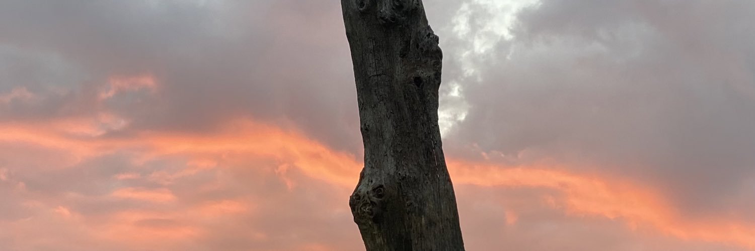 RezaPahlevani's profile banner image