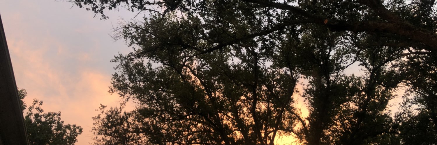 YaGirlGrady's profile banner image