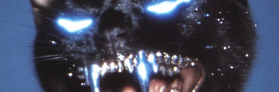 bitbagg's profile banner image