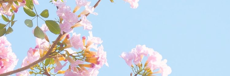 PutuDaivi's profile banner image