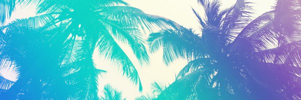 AndreasWeck Profile Banner