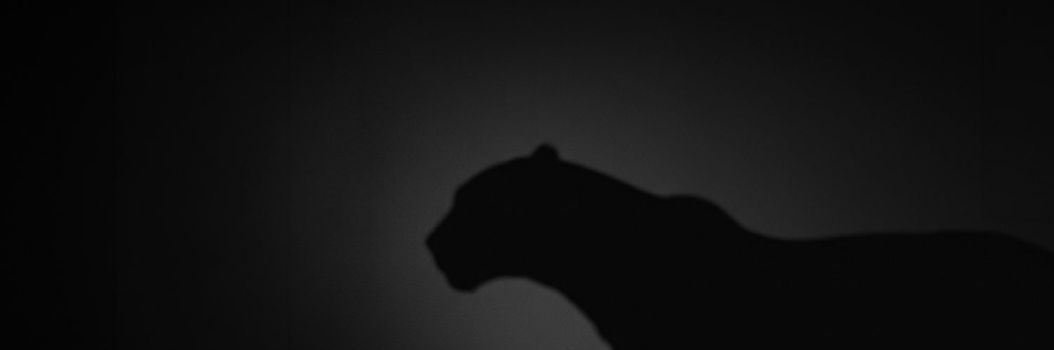 laverne's profile banner image