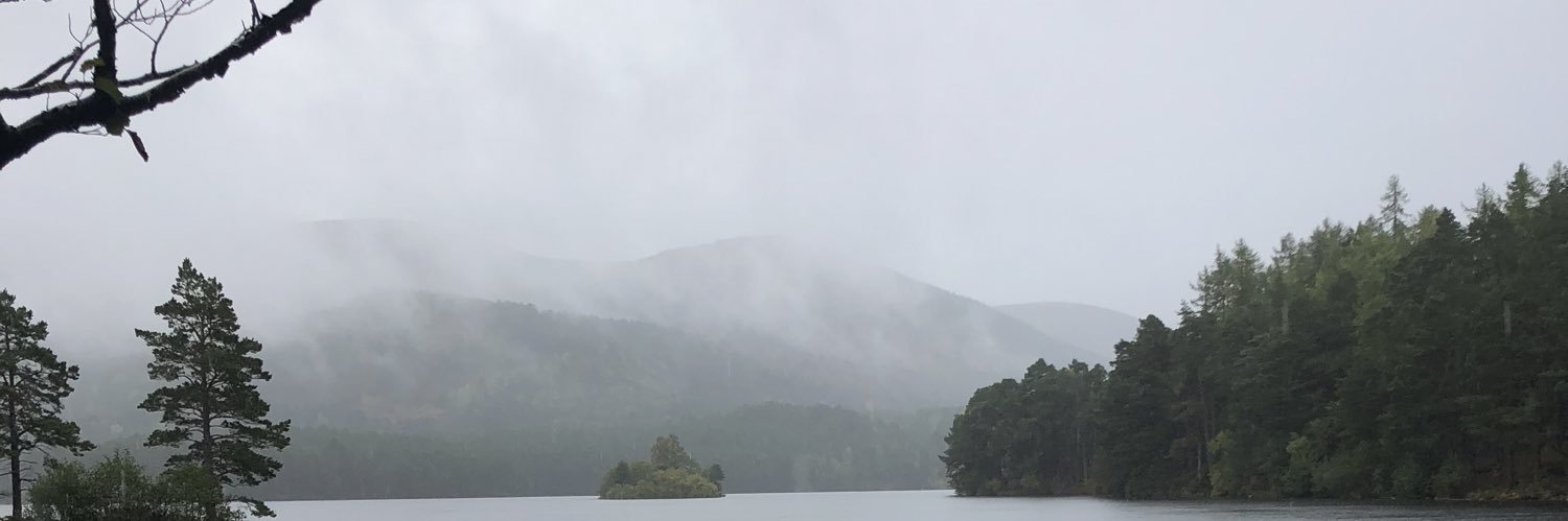 TownsendMartin's profile banner image