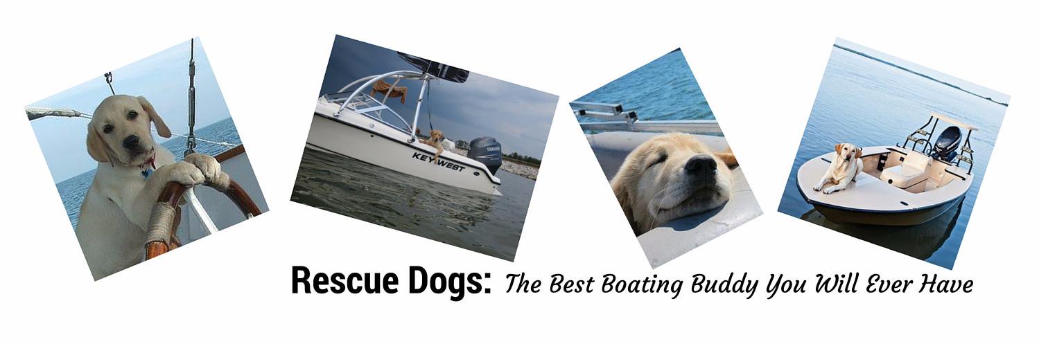 BoatDogs's profile banner image