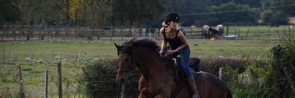emilysalmon's profile banner image
