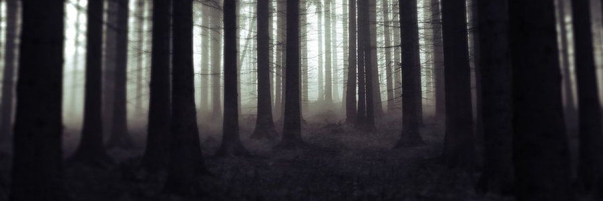 Sean_Dubya's profile banner image