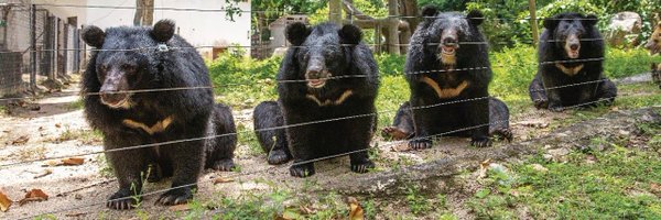 frank246b Profile Banner