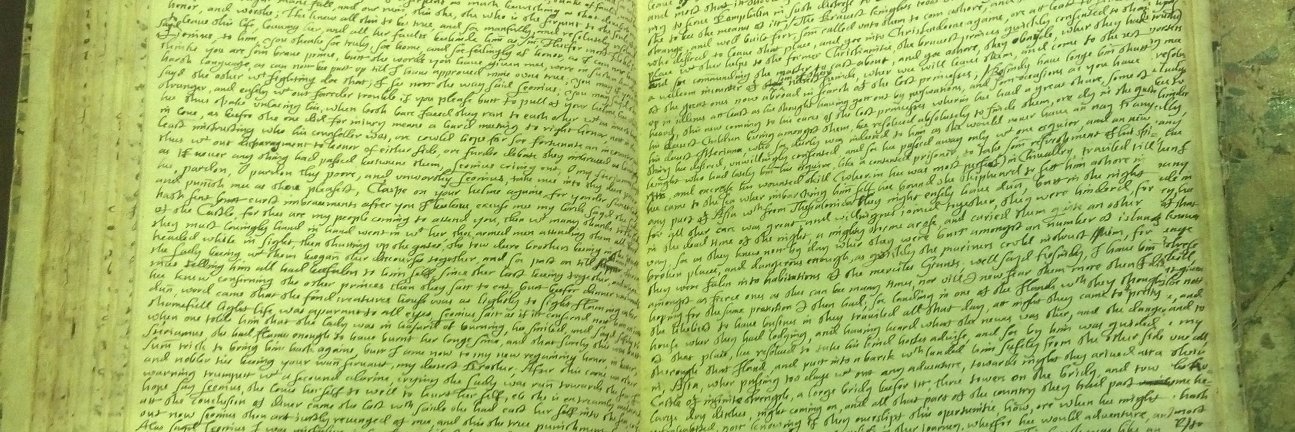 Michelle M. Dowd banner