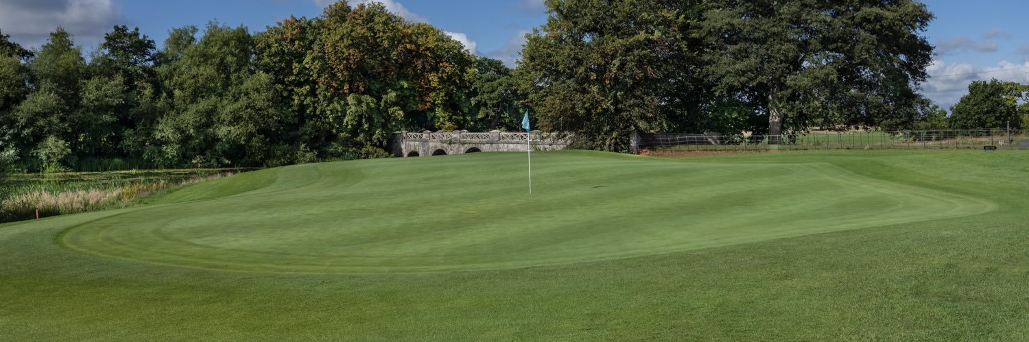 Luttrellstown Castle banner