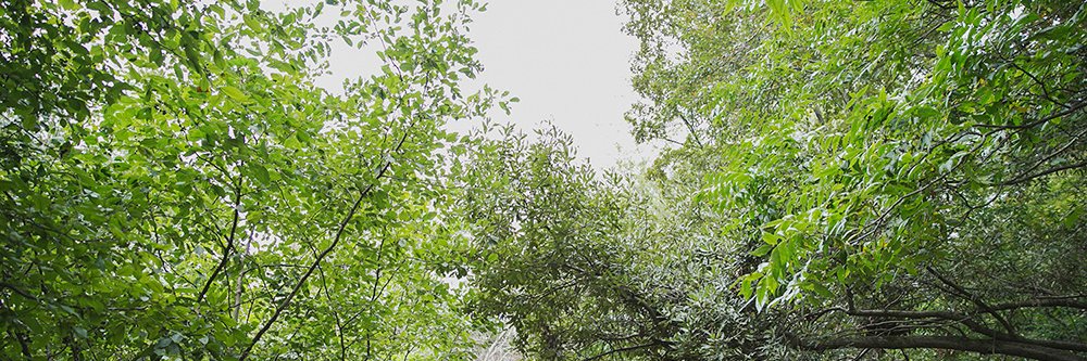 chelclemgrund's profile banner image