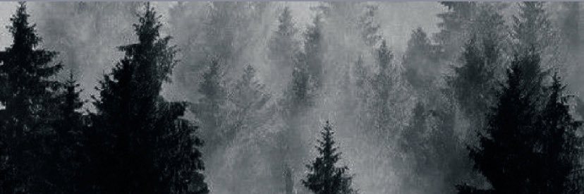 deathtric's profile banner image
