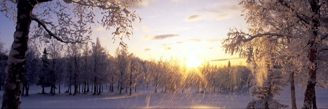 gfgg banner