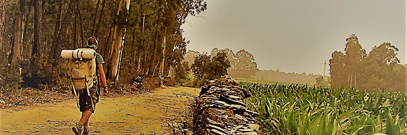 FedesMood's profile banner image