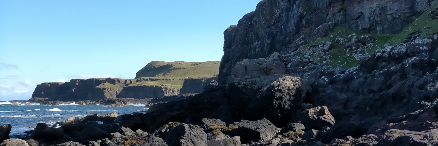 Frances McDarby banner