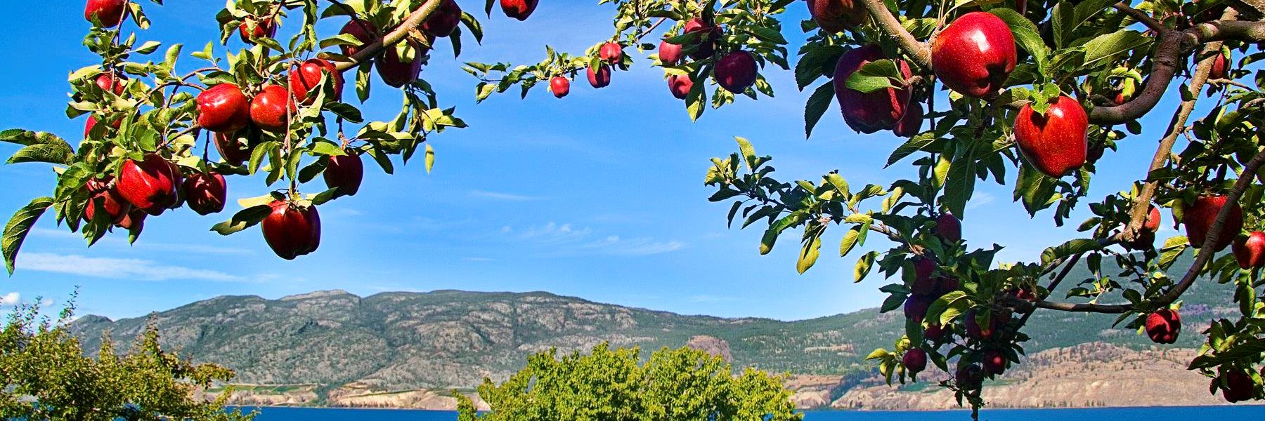 Summerland_CU's profile banner image