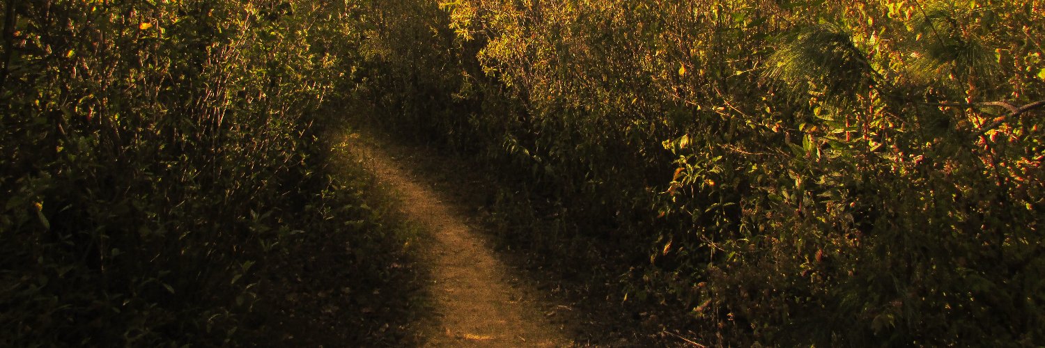 egsp's profile banner image