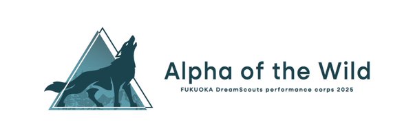 DreamScouts Profile Banner