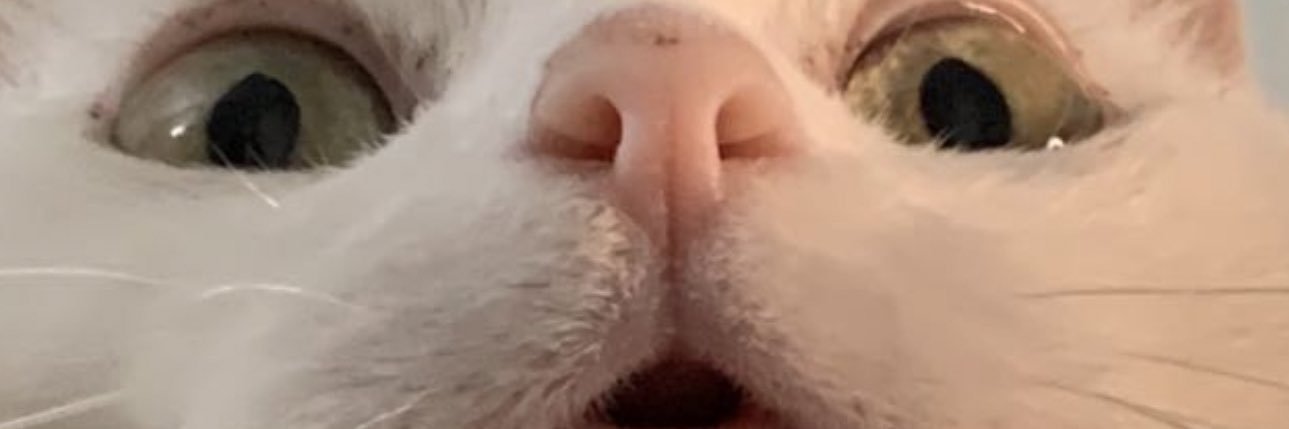 MissLydia1977's profile banner image