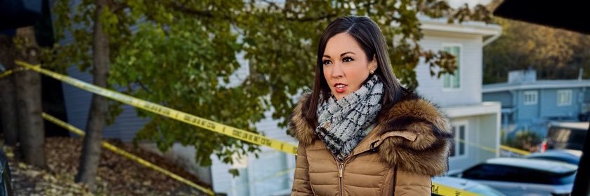 Chanley Shá Painter banner