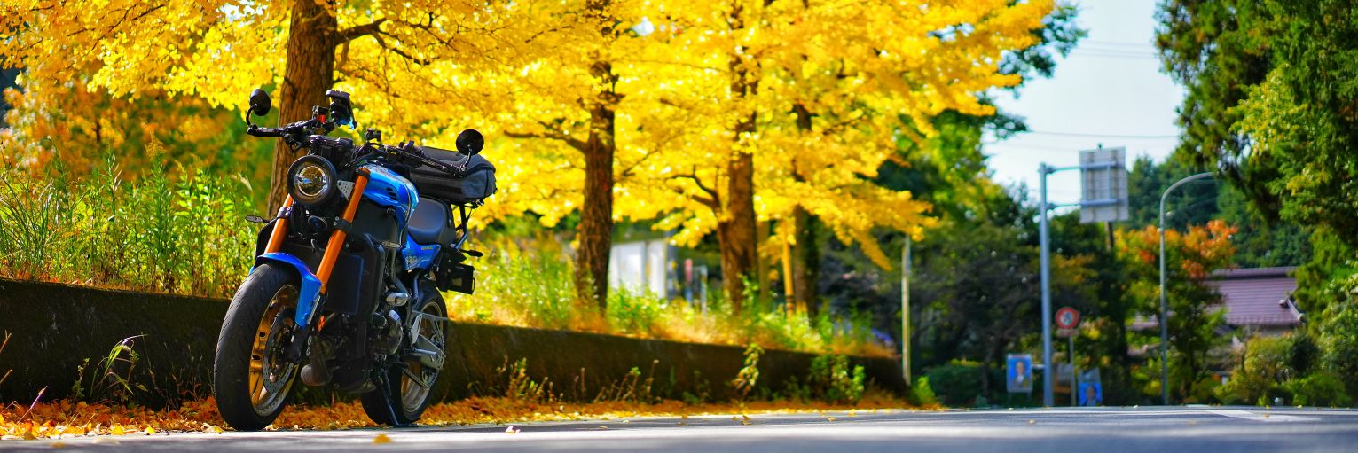 zzPinonicozz's profile banner image