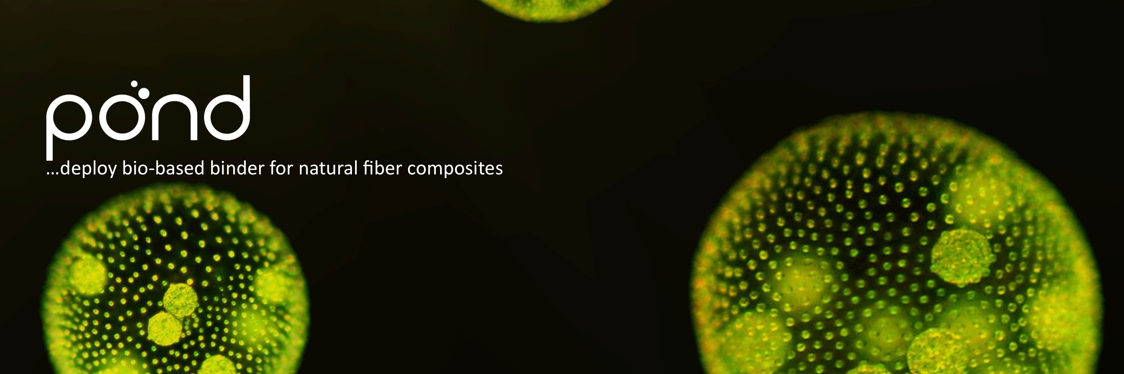 TBrorsen's profile banner image