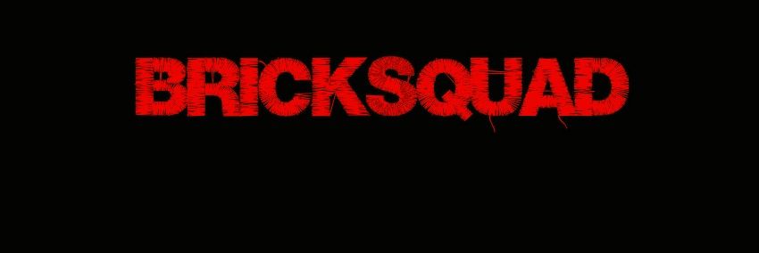 bricksquadhdv's profile banner image