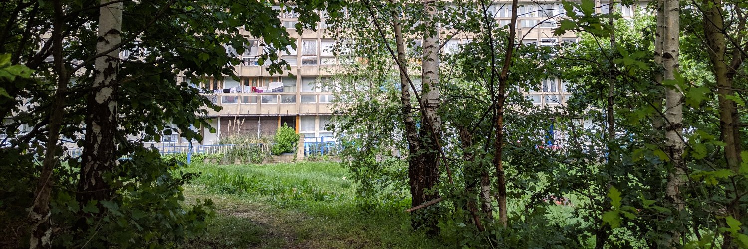 Robert Deakin @robertdeakin.bsky.social banner