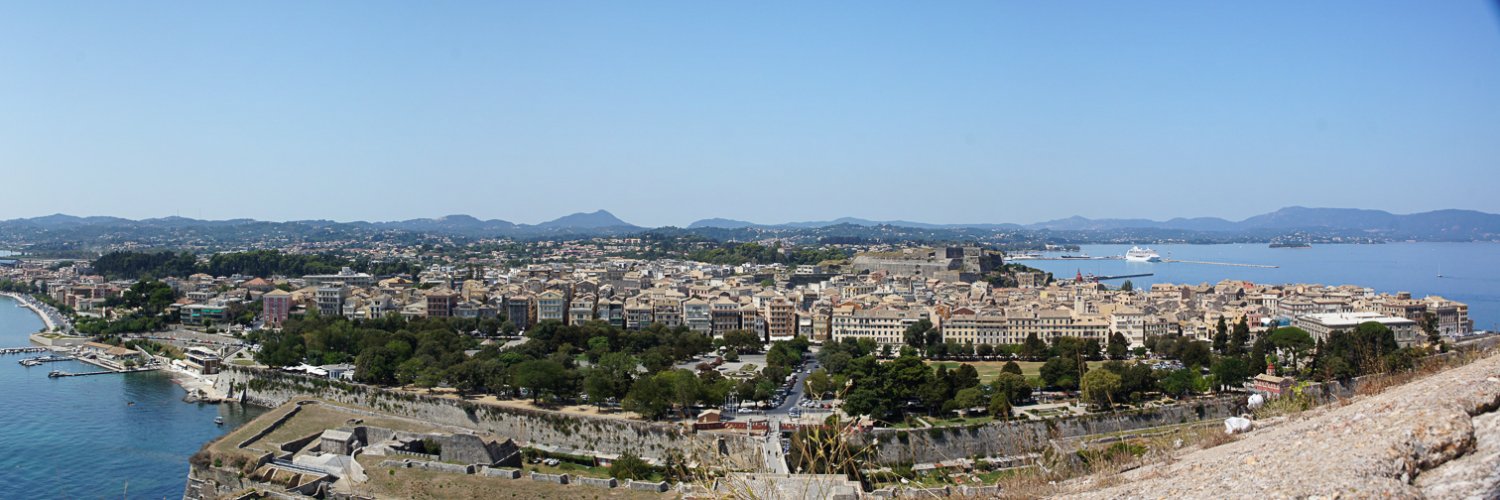 журчалка шмелевидная banner