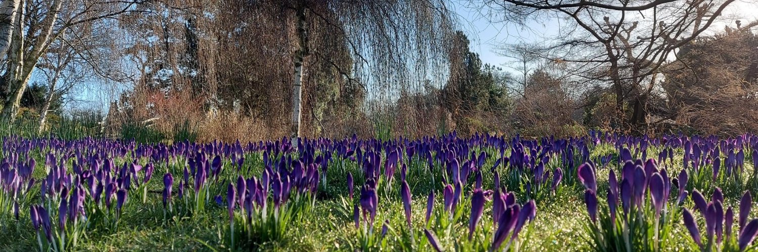 The Royal Parks banner
