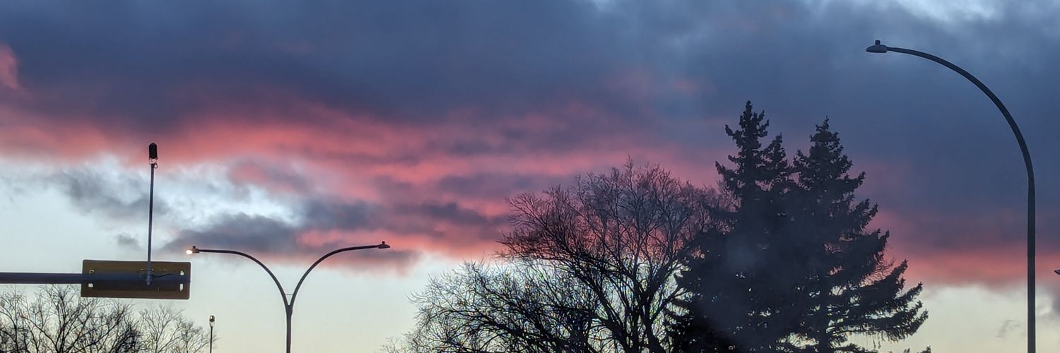 Big Dick Jonhsons Chicken Imporium! banner