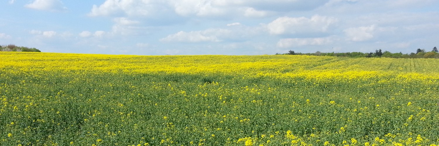 Brendan Routledge #FBPE banner