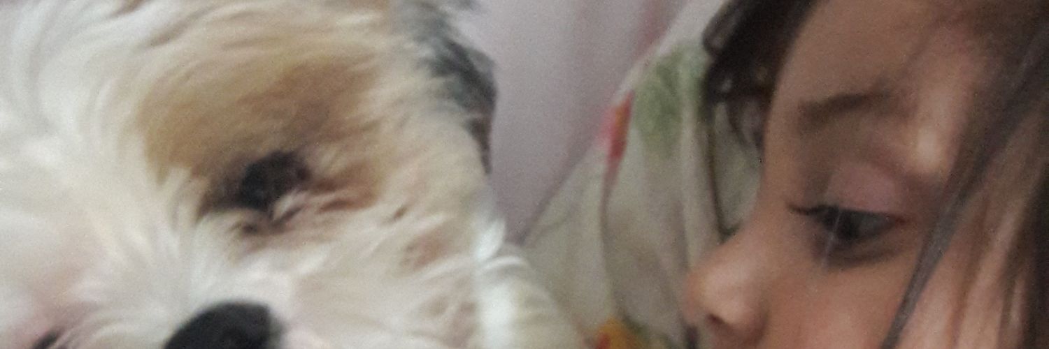 falhaminha's profile banner image