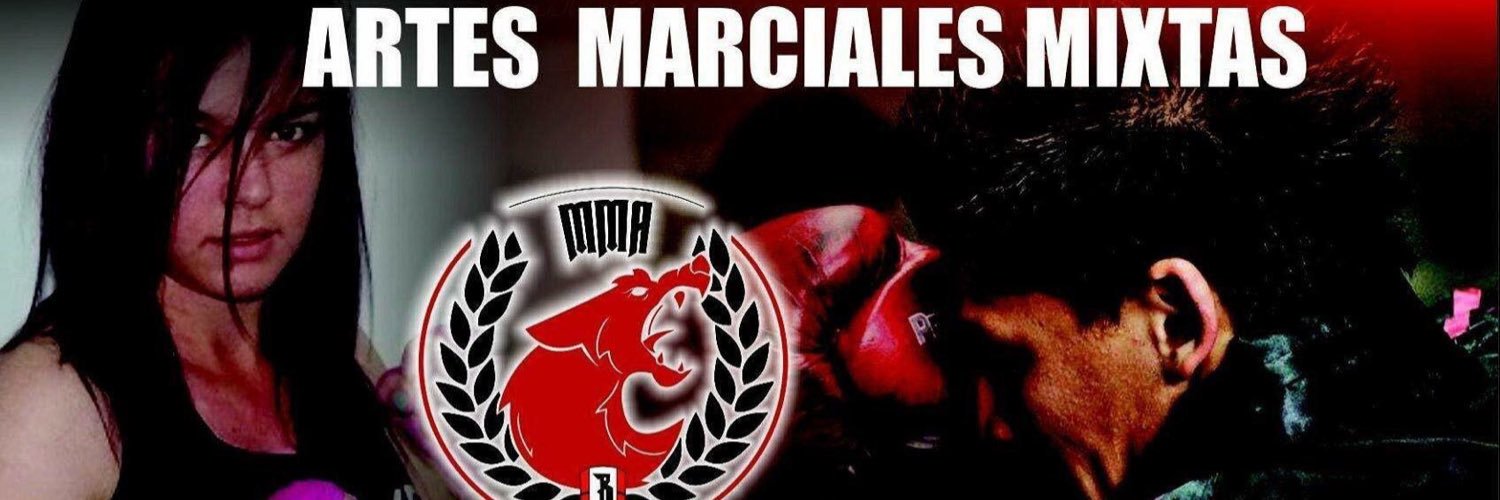 WolfTeamMMA's profile banner image