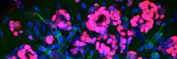 MITBiology Profile Banner