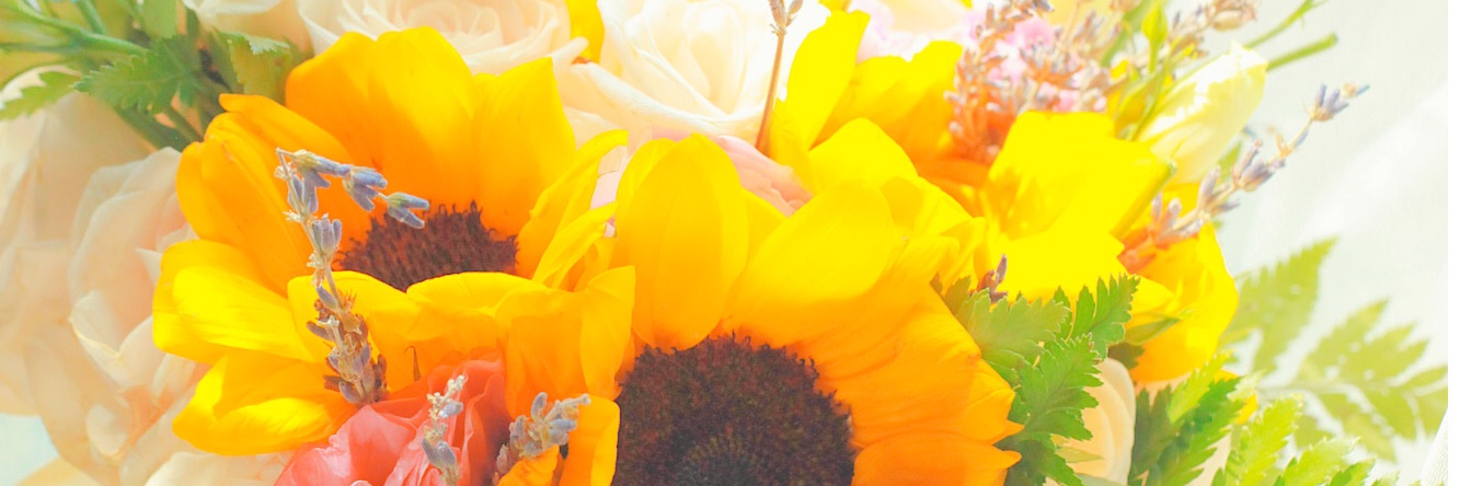 masaming0918's profile banner image