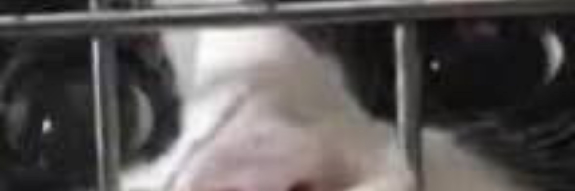 _lunarmorg's profile banner image