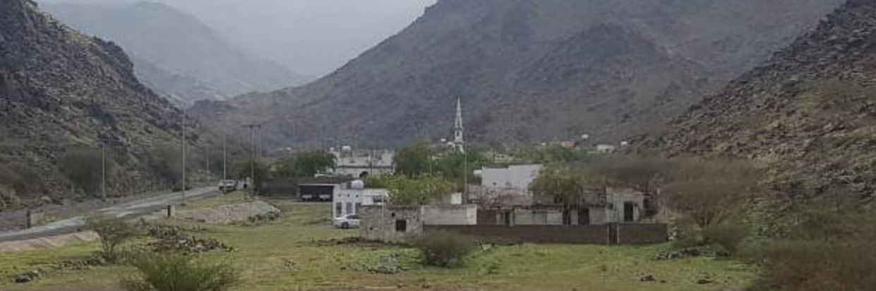 فايز القليطي banner