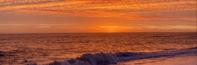 SofiVacca1's profile banner image