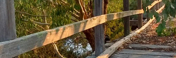 Susan Fairlie Hall banner