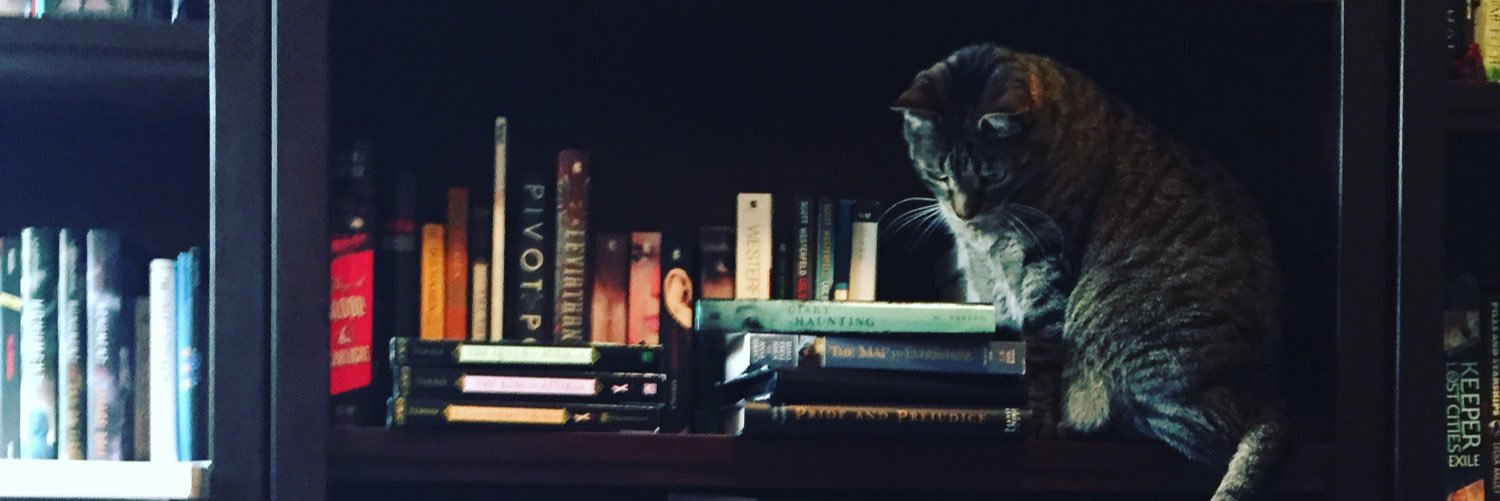 OverstuffedBook's profile banner image