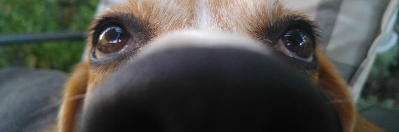 Carlangas_4's profile banner image