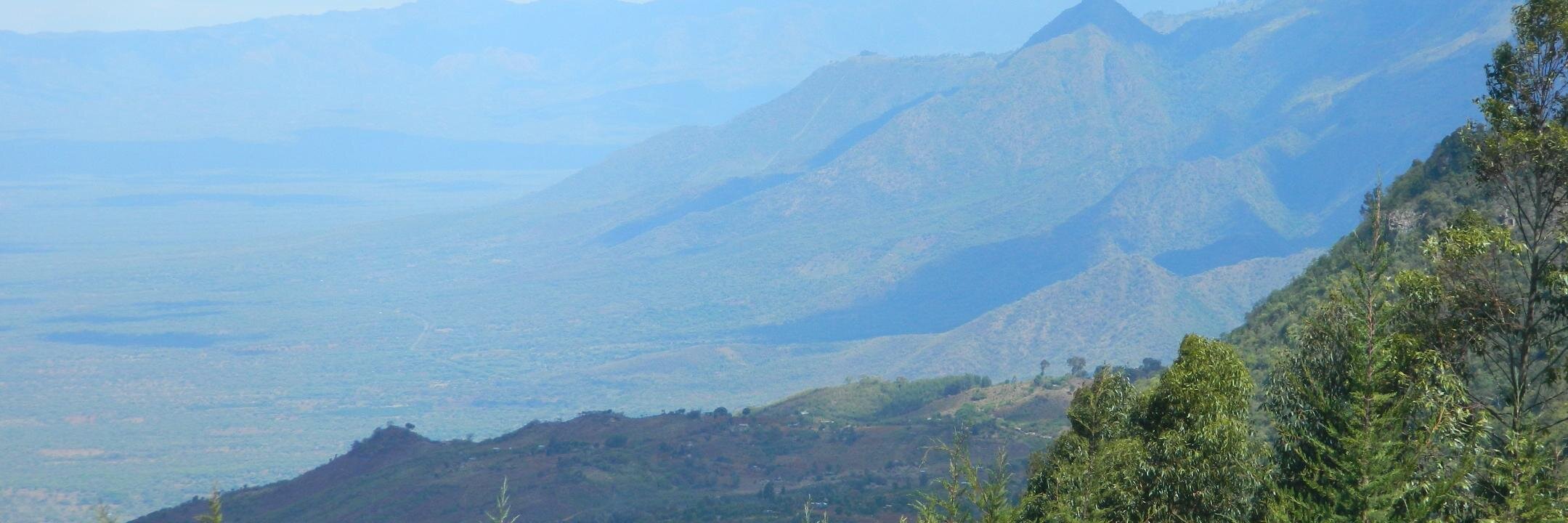 nkleitich's profile banner image