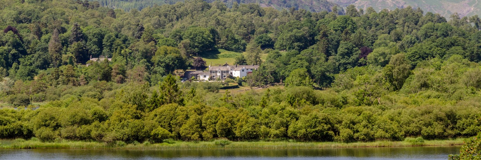eltermereinn's profile banner image