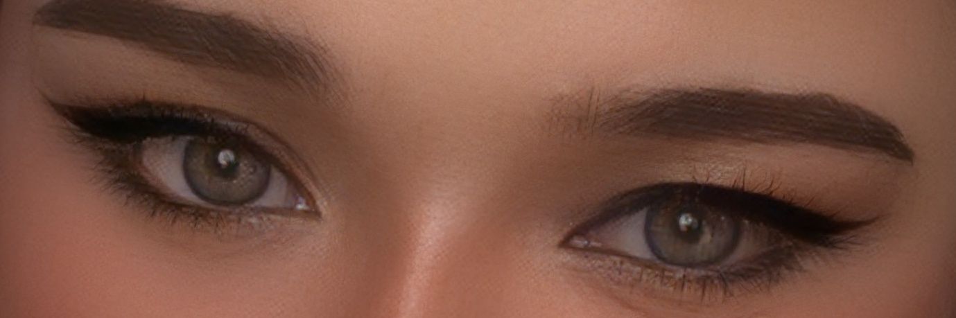 ariana banner