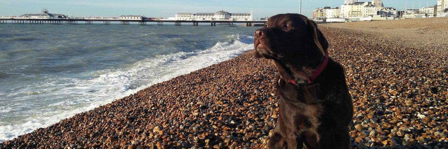 damien 🇦🇺 banner